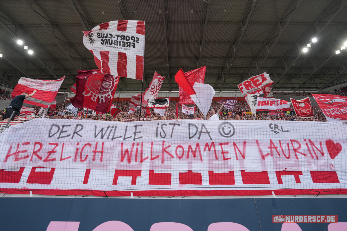 SC Freiburg – VfL Wolfsburg 1-2 (8)