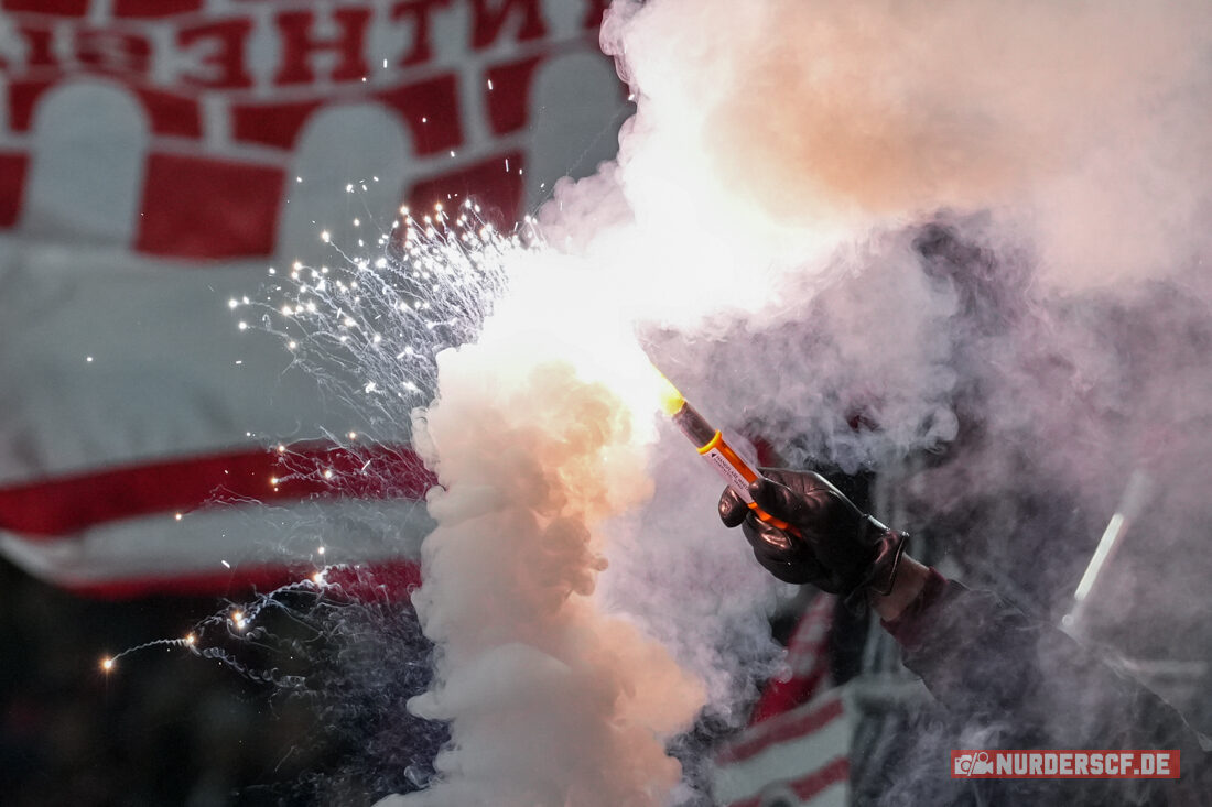 SC Freiburg – Hamburger SV 2-1 (17)