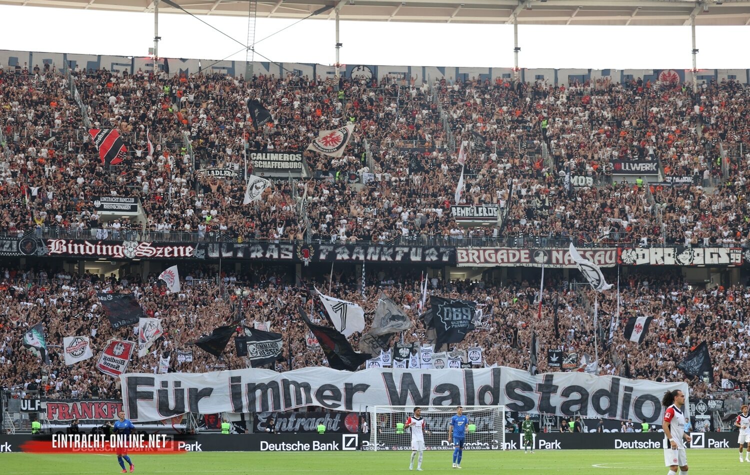 Eintracht Frankfurt – TSG Hoffenheim 3-1 (7)