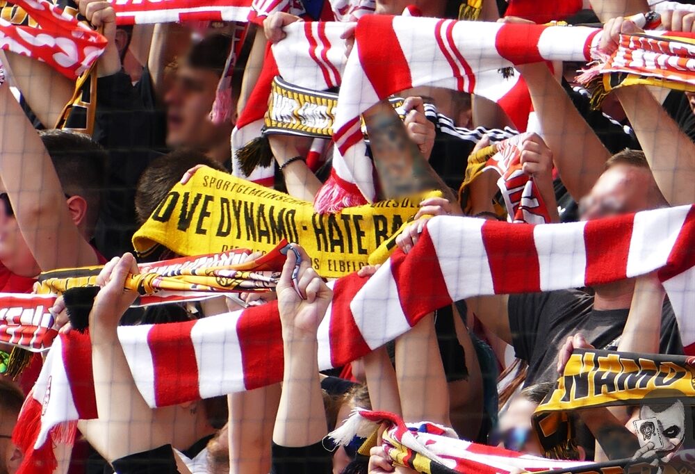 FSV Zwickau – Dynamo Dresden 0-1 (5)