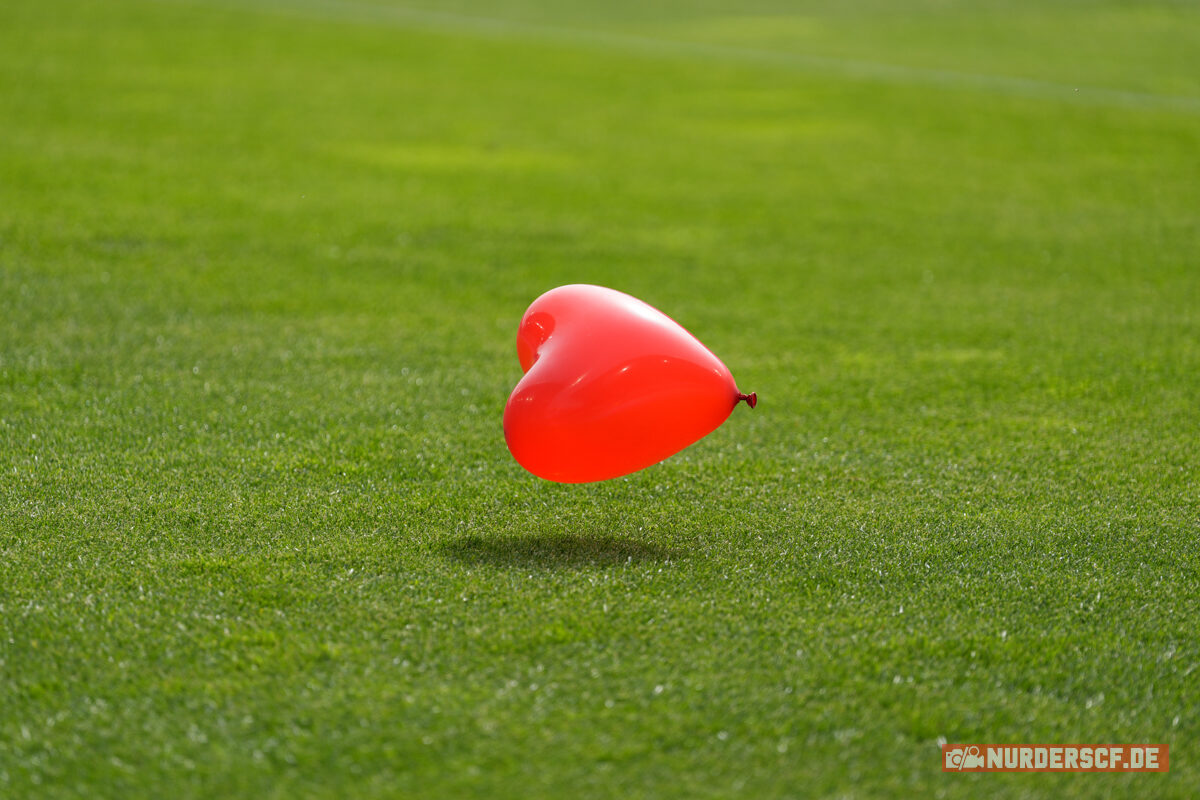 SV Darmstadt 98 – SC Freiburg 0-1 (8)