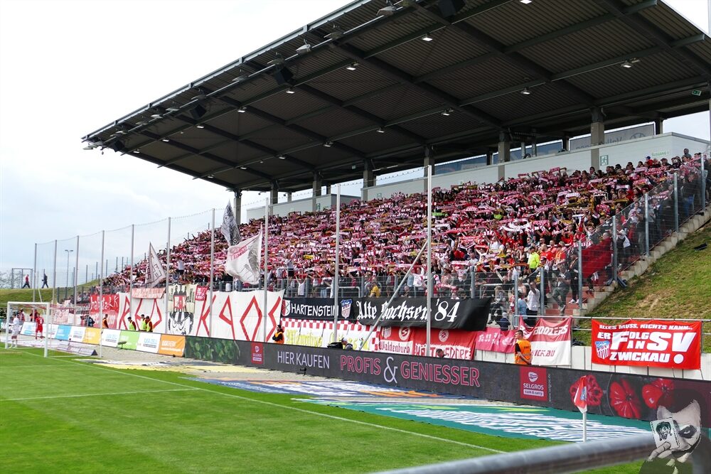 FSV Zwickau – Dynamo Dresden 0-1 (4)