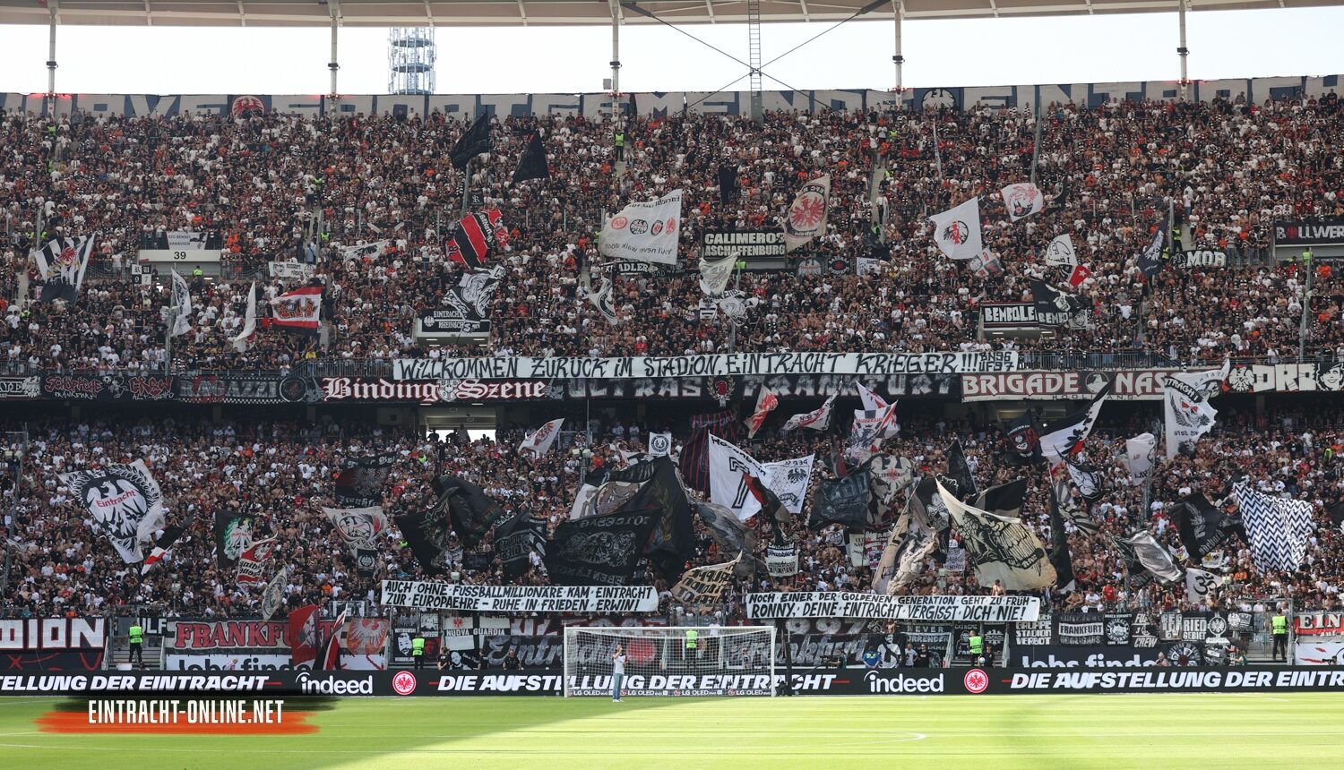 Eintracht Frankfurt – TSG Hoffenheim 3-1 (4)