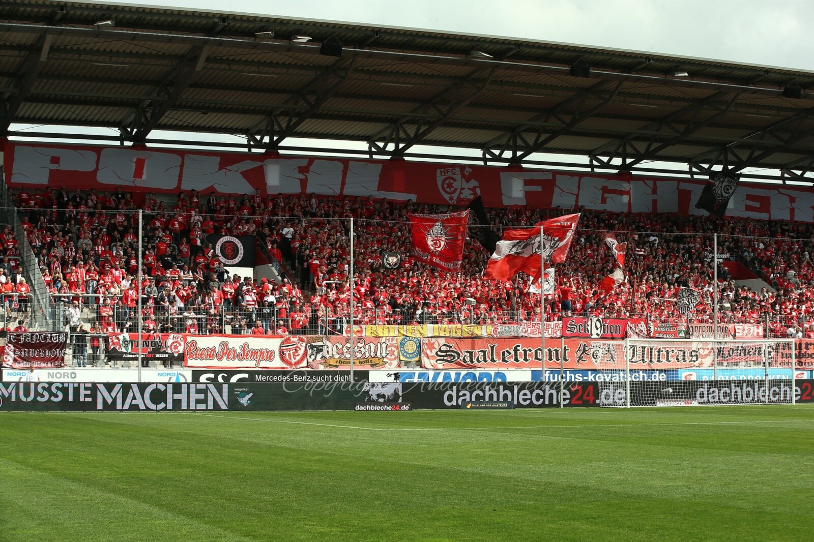 Germania Halberstadt – Hallescher FC 2-4 (8)