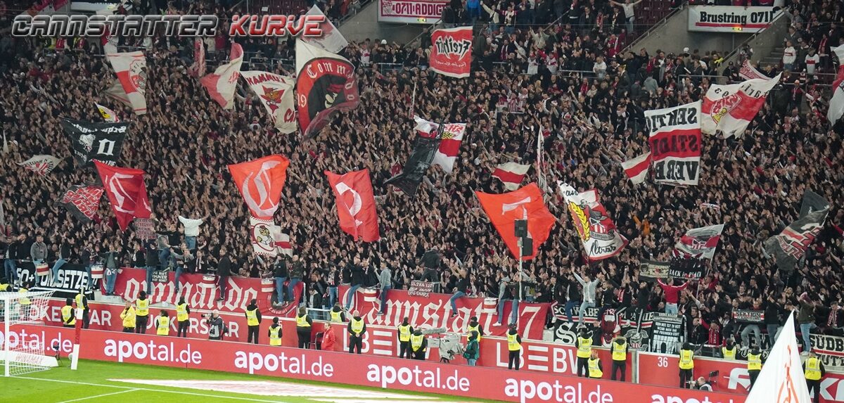 VfB Stuttgart – TSG Hoffenheim 1-1 (39)