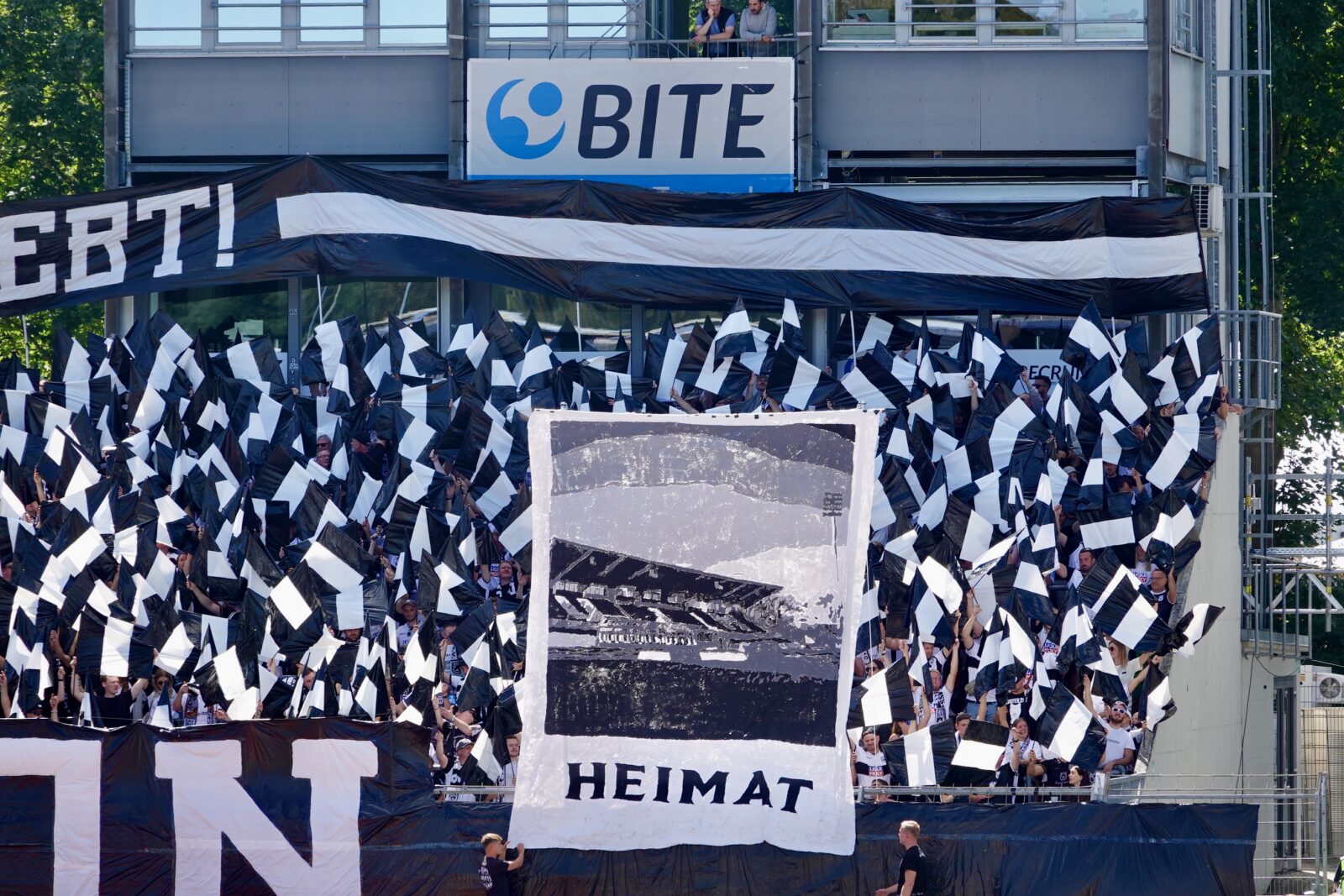 SSV Ulm 1846 – SV Waldhof Mannheim 1:2 (9)