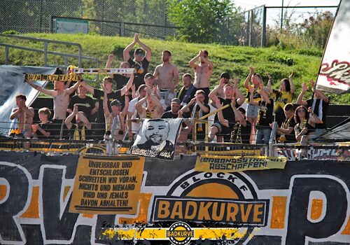 VFC Plauen – 1. SC 1911 Heiligenstadt 4:0 (1)