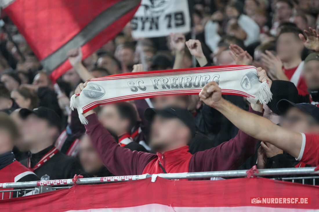 SC Freiburg – Hamburger SV 2-1 (31)