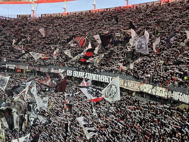 Eintracht Frankfurt – 1. FSV Mainz 05 1-3 (2)