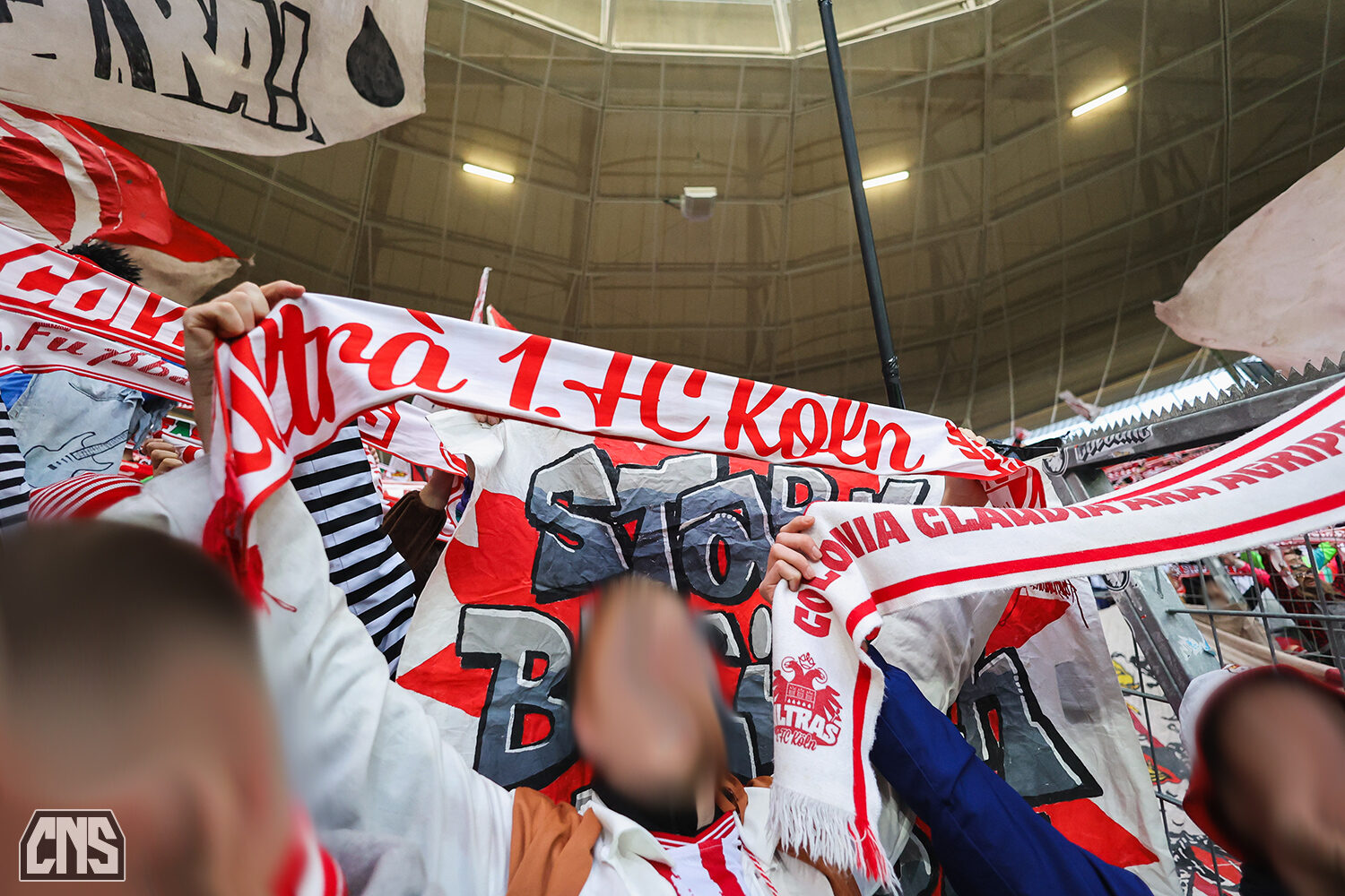 TSG Hoffenheim – 1. FC Köln 1-1 (30)