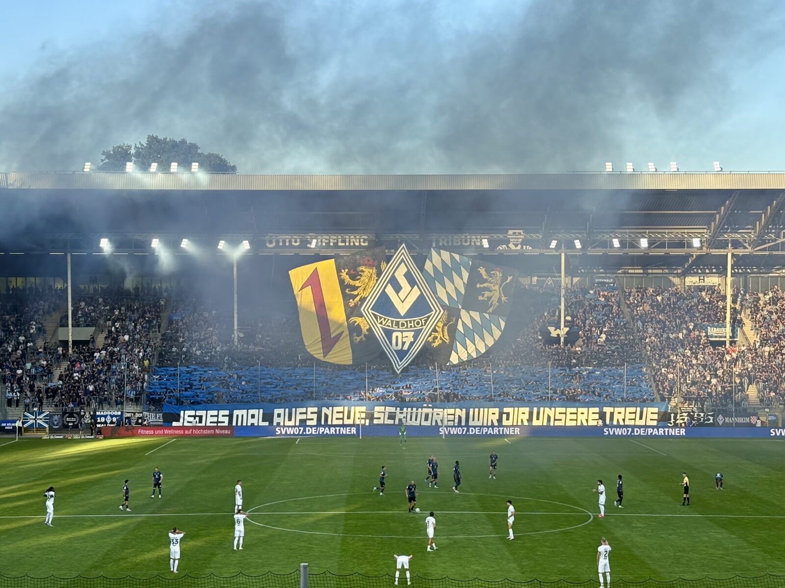 SV Waldhof Mannheim – Viktoria Köln 2-0 (9)