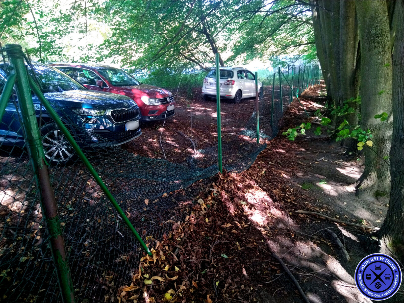 VFC Plauen – FC Carl Zeiss Jena 4-1 (20)