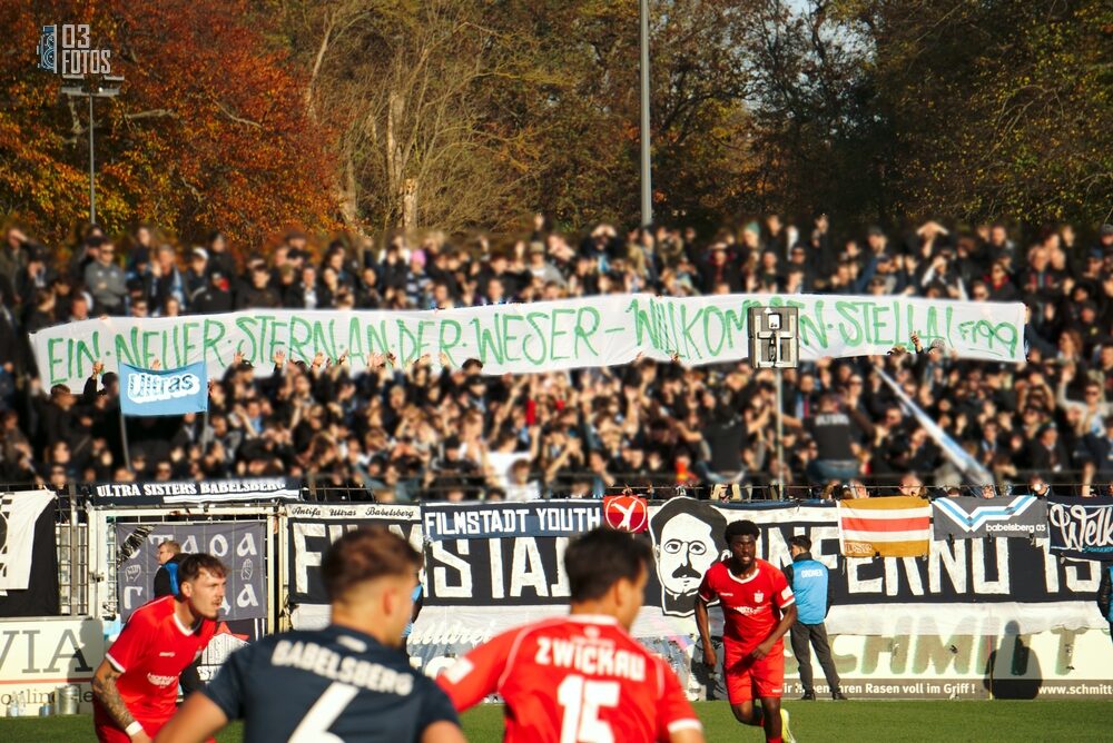 SV Babelsberg 03 – FSV Zwickau 0-2 (12)