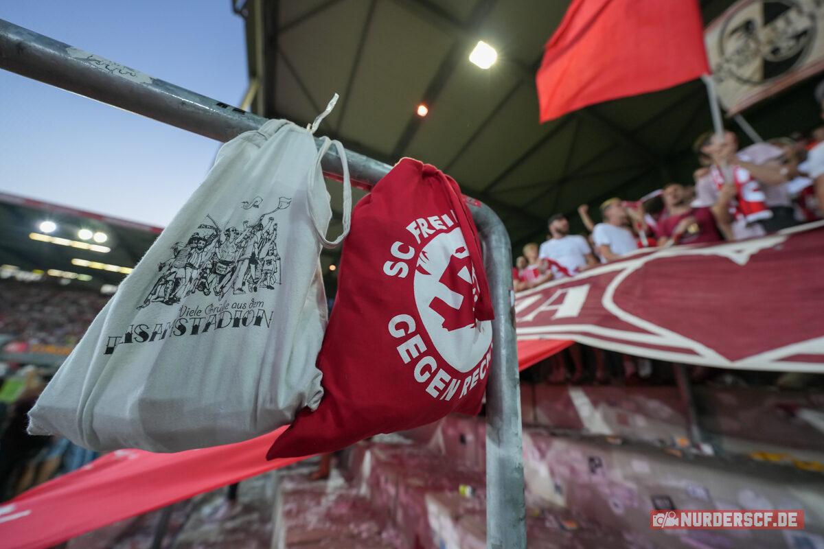 SC Freiburg Frauen – FC Bayern München Frauen 2-2 (13)