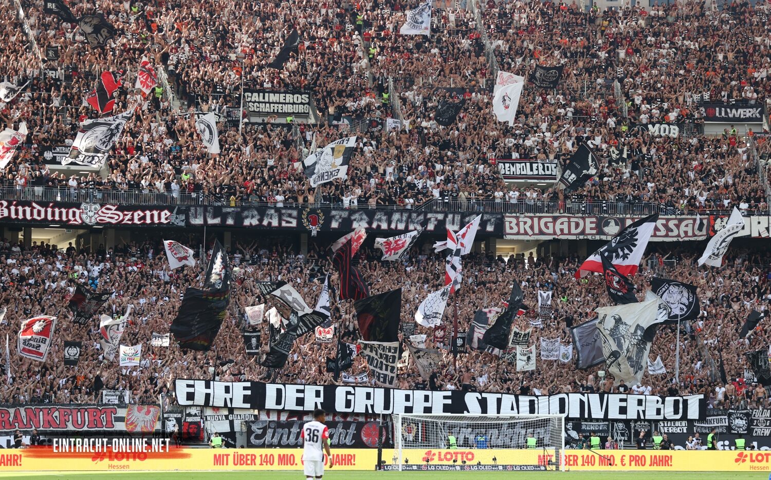 Eintracht Frankfurt – TSG Hoffenheim 3-1 (36)