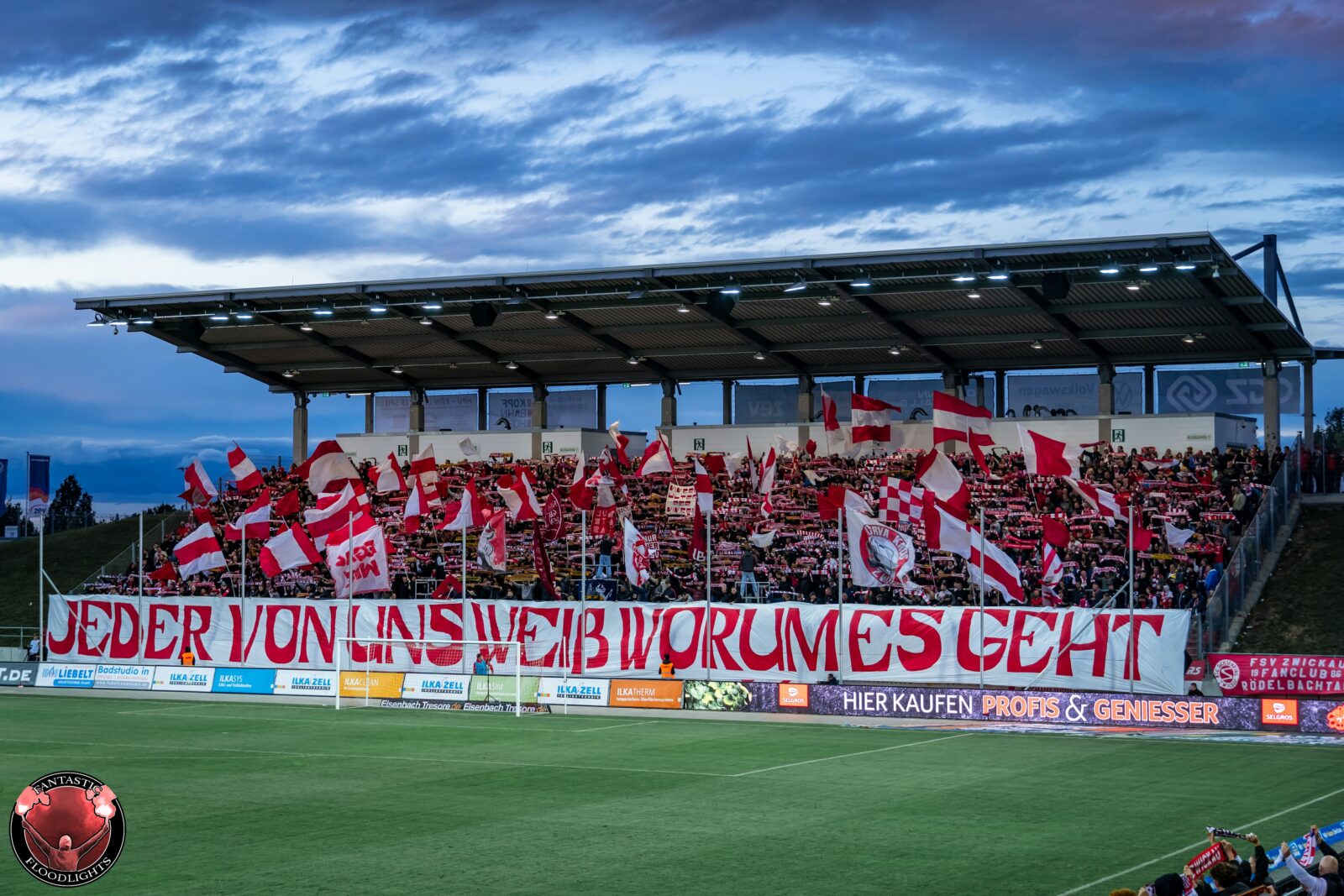 FSV Zwickau – Hallescher FC 1-0 (27)