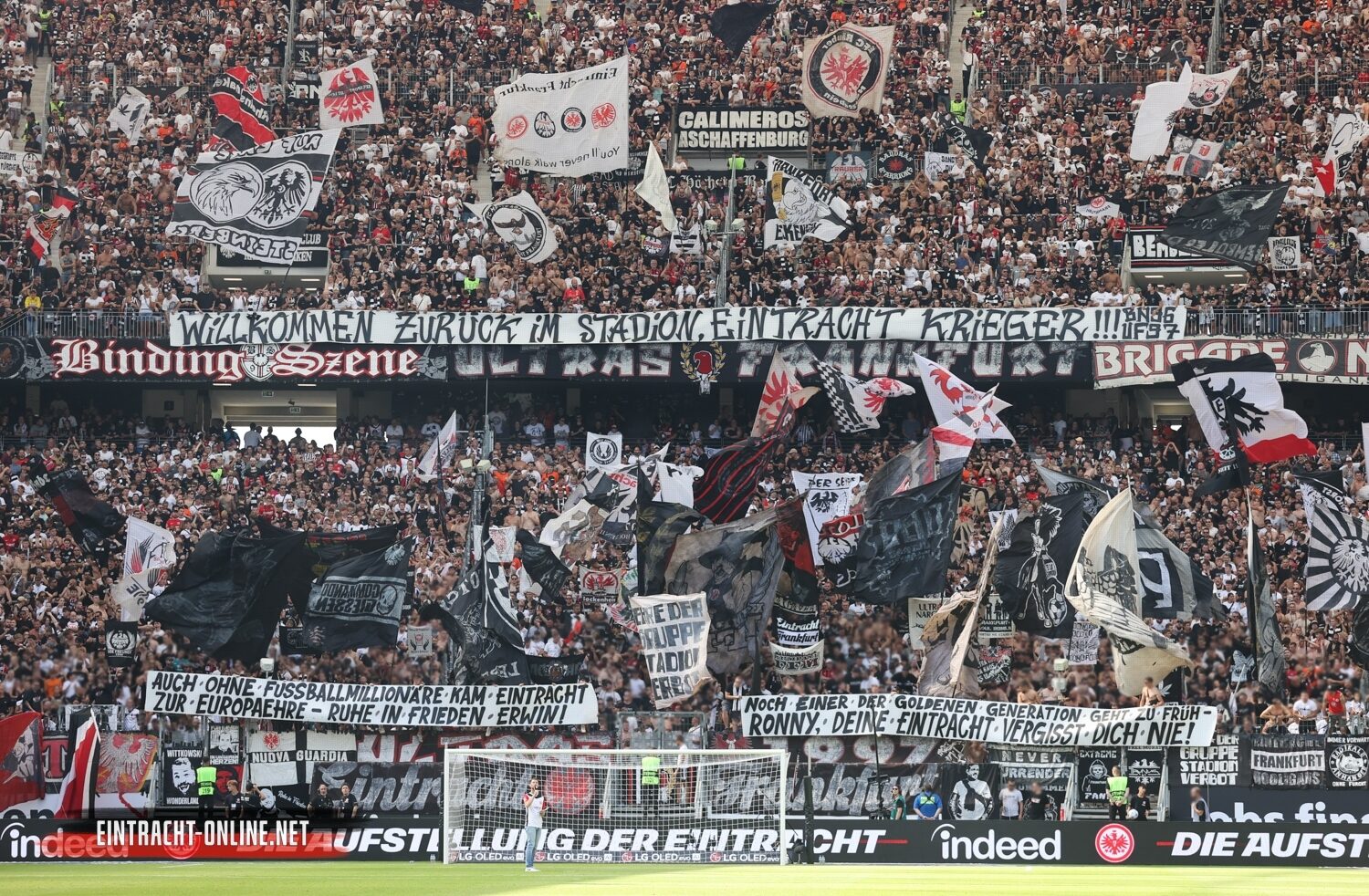 Eintracht Frankfurt – TSG Hoffenheim 3-1 (27)