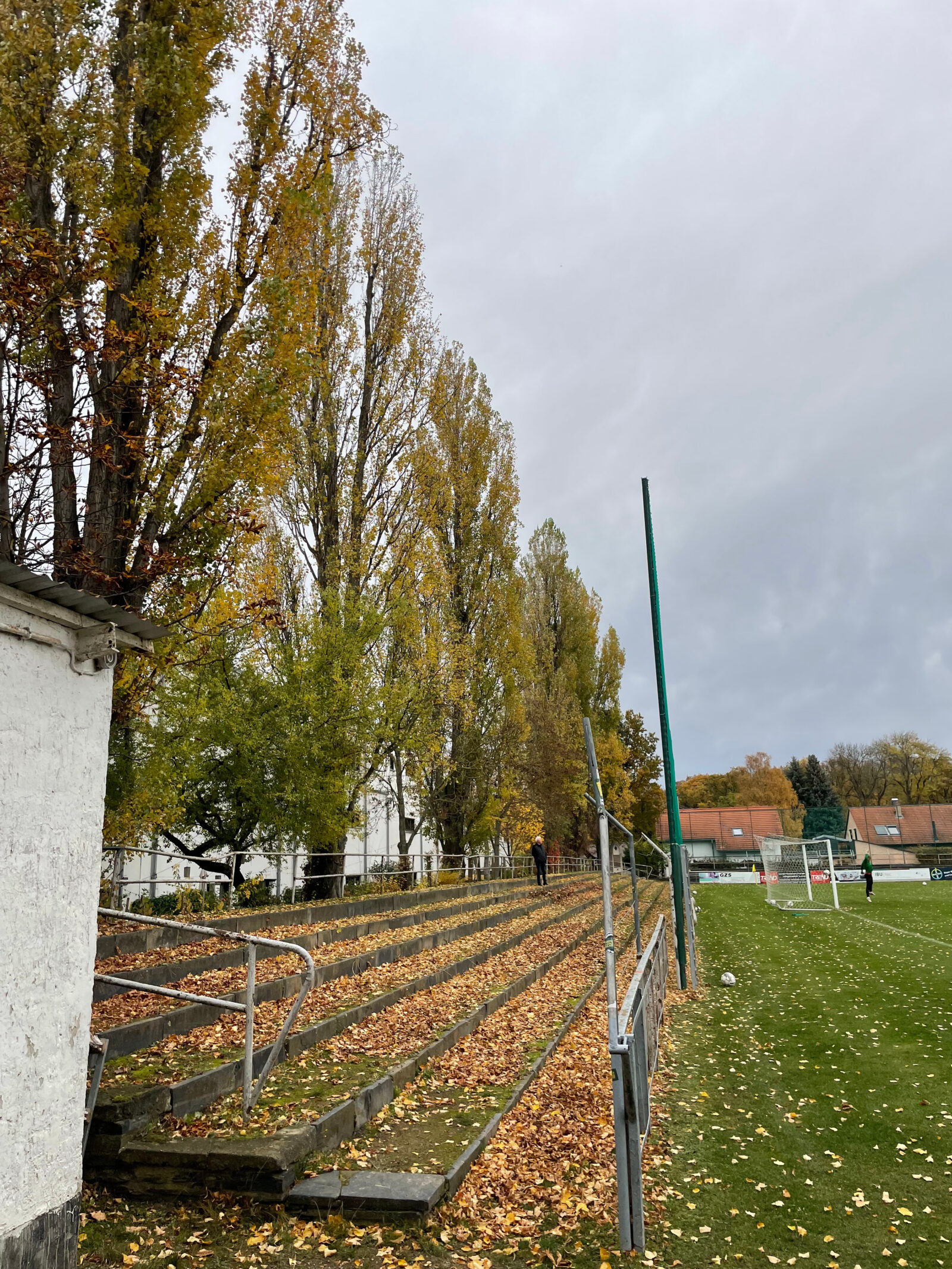 SC 1903 Weimar – SV Eintracht Eisenberg 3:0 (12)