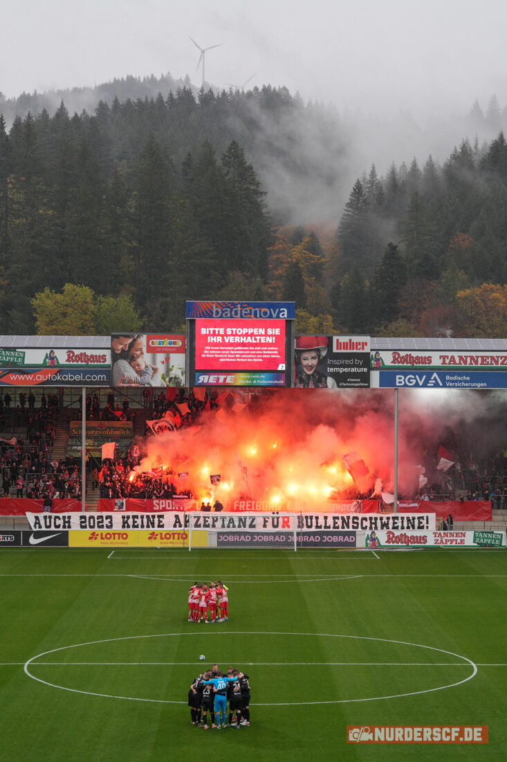 SC Freiburg II – SC Preußen Münster 2-2 (18)