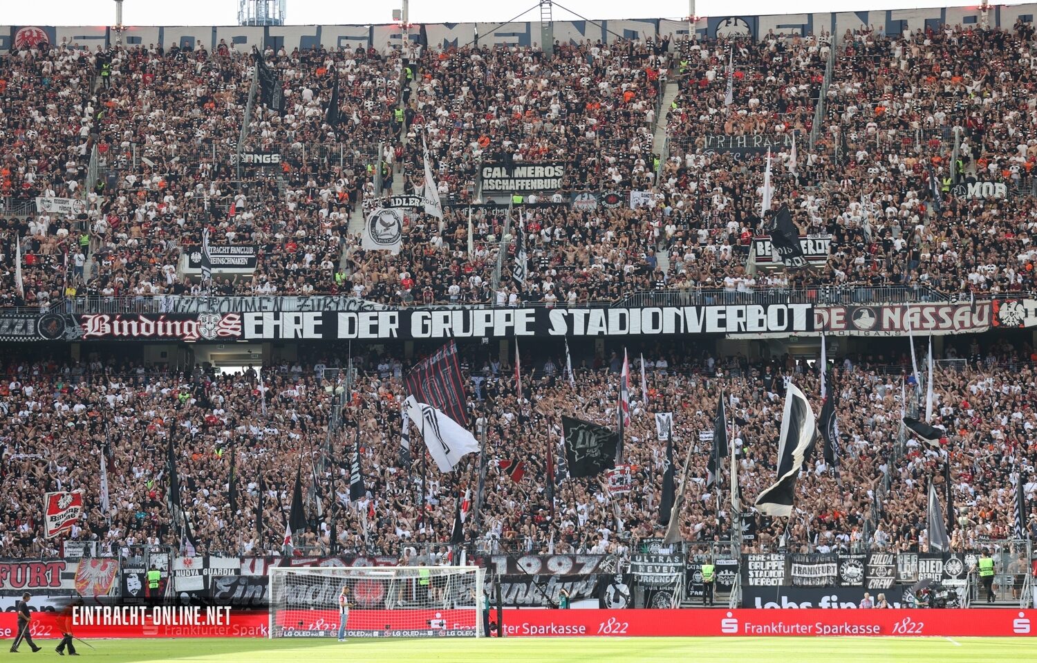 Eintracht Frankfurt – TSG Hoffenheim 3-1 (31)