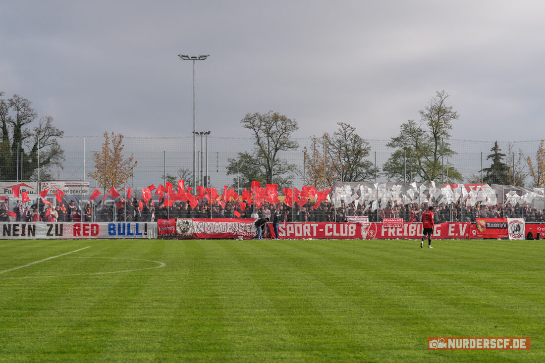 Göppinger SV – SC Freiburg II 1-0 (26)