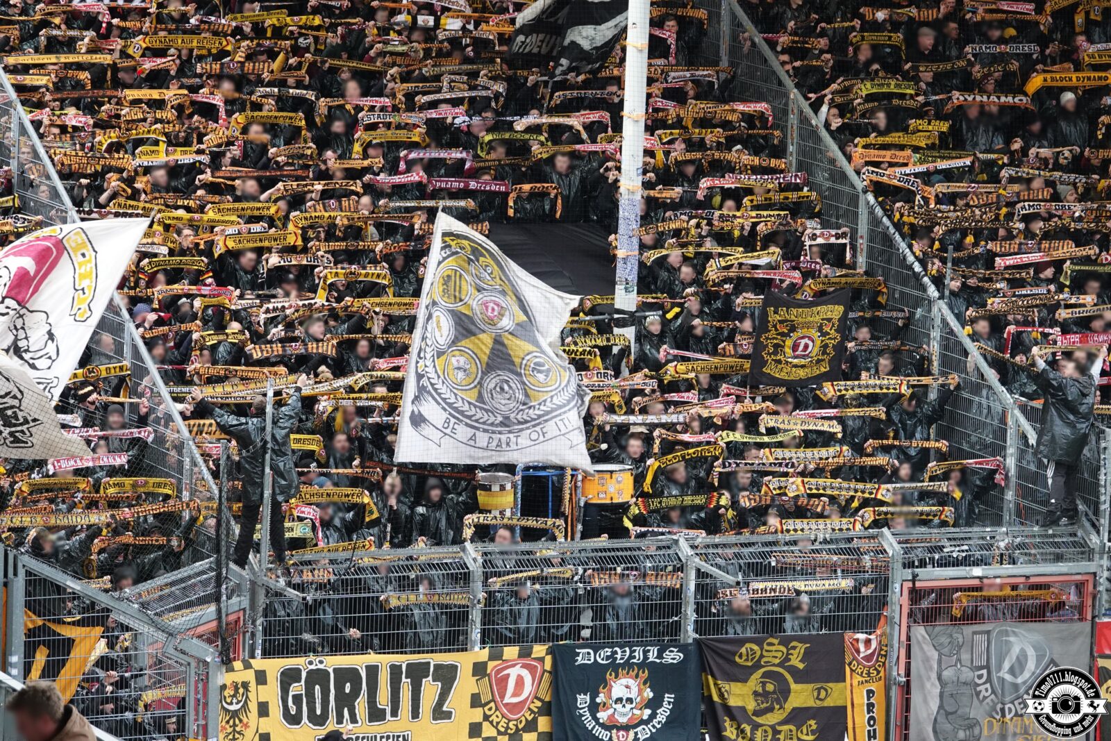 FC Energie Cottbus – Dynamo Dresden 1-1 (77)