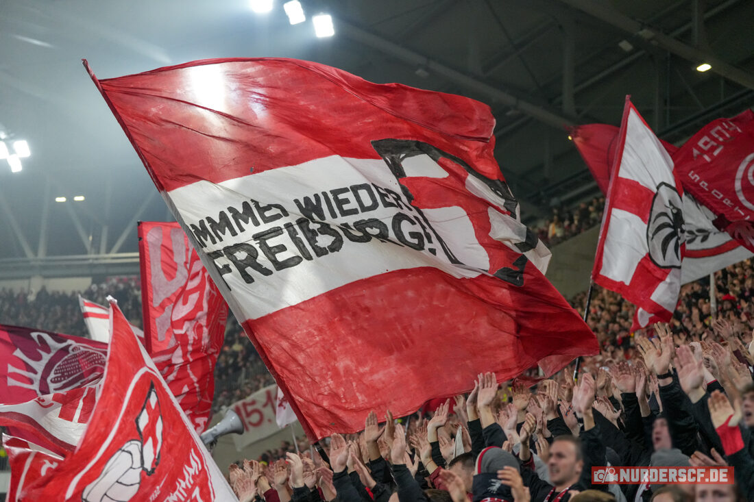 SC Freiburg – Hamburger SV 2-1 (30)