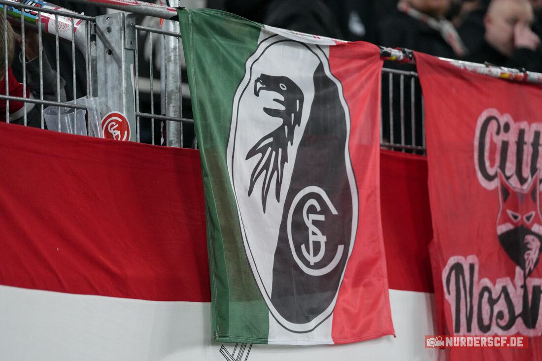 SC Freiburg – Hamburger SV 2-1 (34)