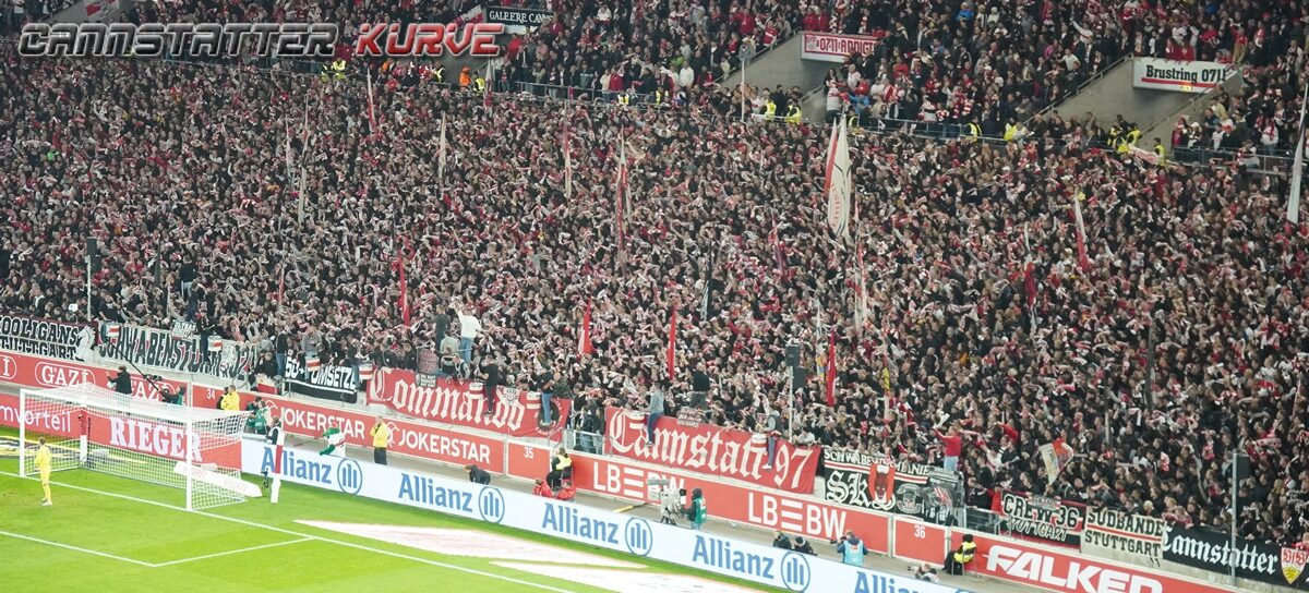 VfB Stuttgart – TSG Hoffenheim 1-1 (27)