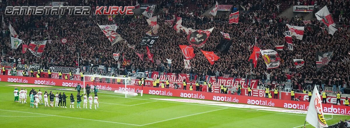 VfB Stuttgart – TSG Hoffenheim 1-1 (36)