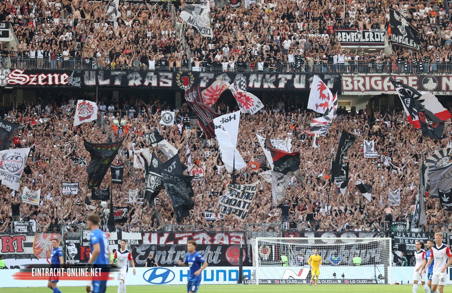 Eintracht Frankfurt – TSG Hoffenheim 3-1 (33)