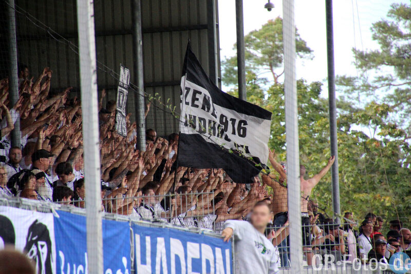 SV Sandhausen – TSV 1860 München 3-0 (2)