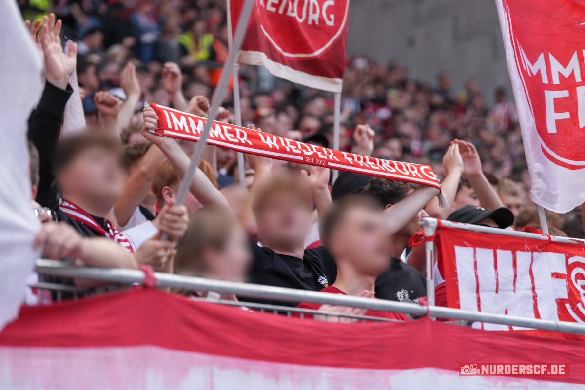 SC Freiburg – VfL Wolfsburg 1-2 (6)