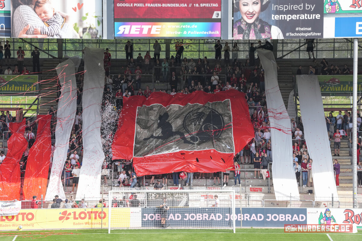 SC Freiburg Frauen – VfL Wolfsburg Frauen 1-4 (12)
