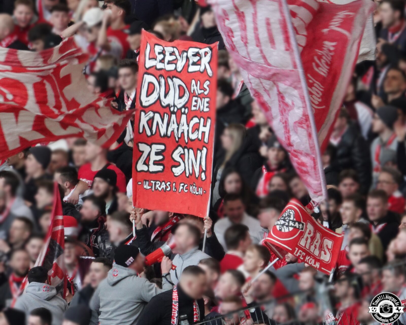 VfB Stuttgart – 1. FC Köln 1-1 (23)