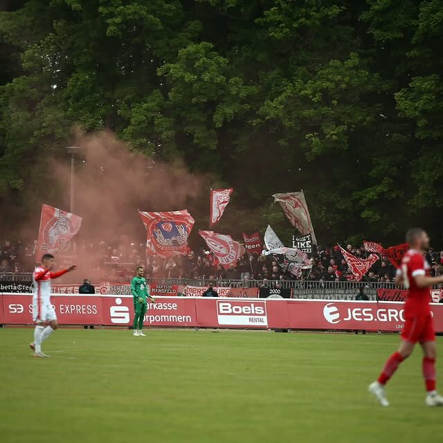 Greifswalder FC – Hallescher FC 4-0 (2)