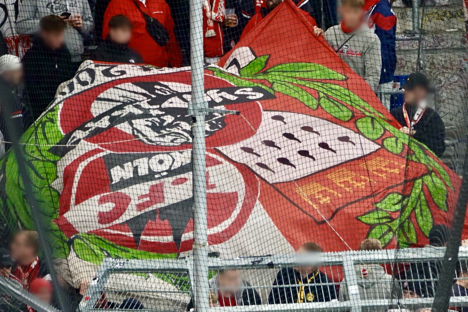 TSG Hoffenheim – 1. FC Köln 0:1 (12)