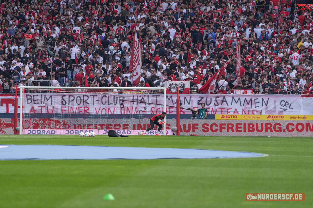 SC Freiburg – VfL Wolfsburg 1-2 (18)