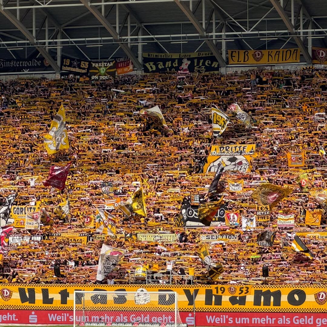 Dynamo Dresden – VfL Osnabrück 0-1 (4)