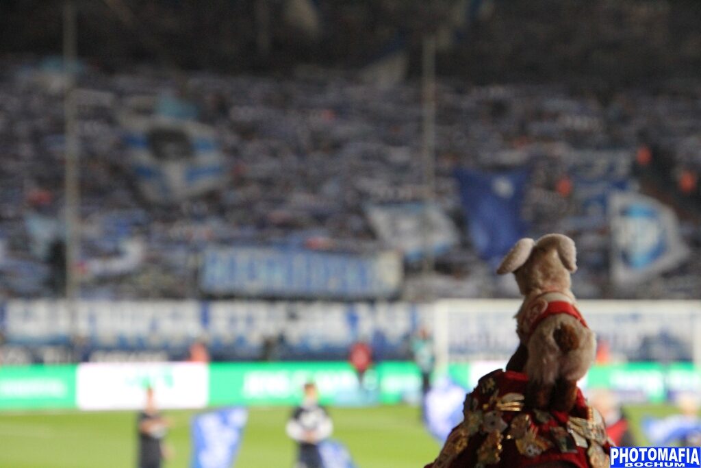 VfL Bochum – 1. FC Köln 1-1 (16)