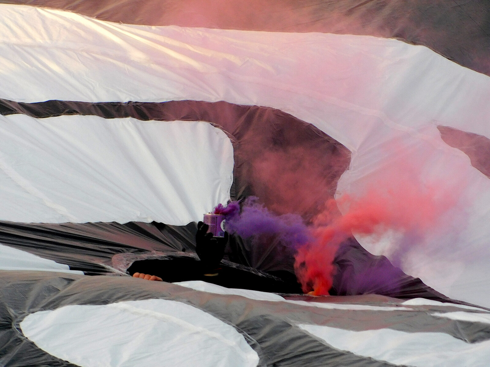 1. FC Lokomotive Leipzig – ZFC Meuselwitz 2-0 (8)