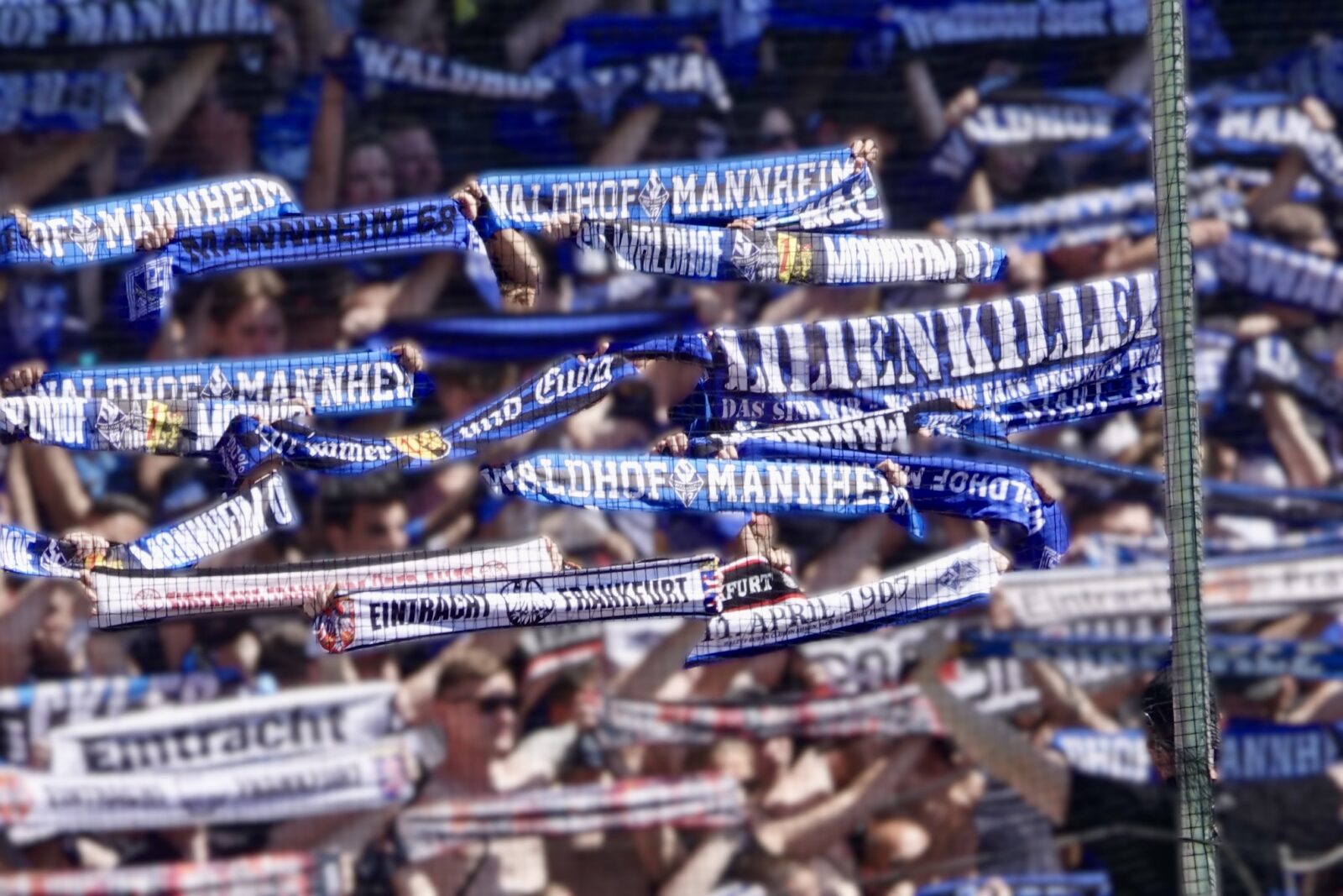 SV Waldhof Mannheim – Dynamo Dresden 1-0 (6)