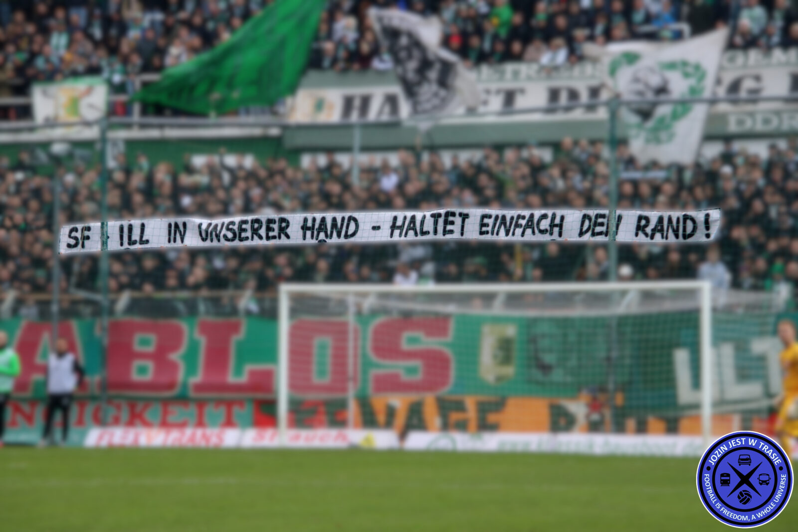 BSG Chemie Leipzig – Hallescher FC 1-1 (32)