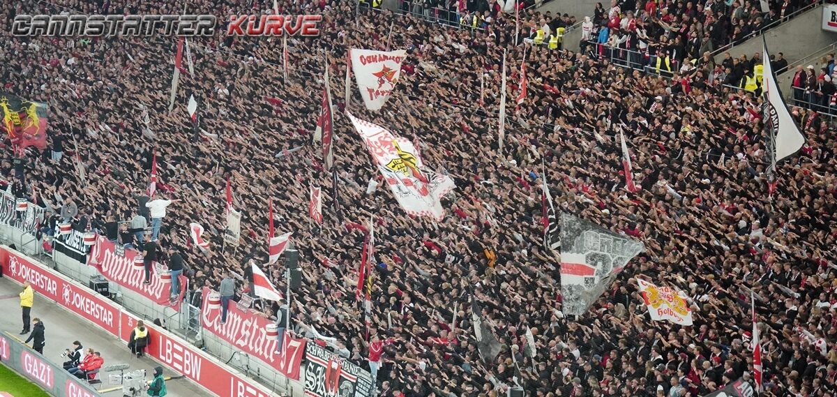 VfB Stuttgart – TSG Hoffenheim 1-1 (33)
