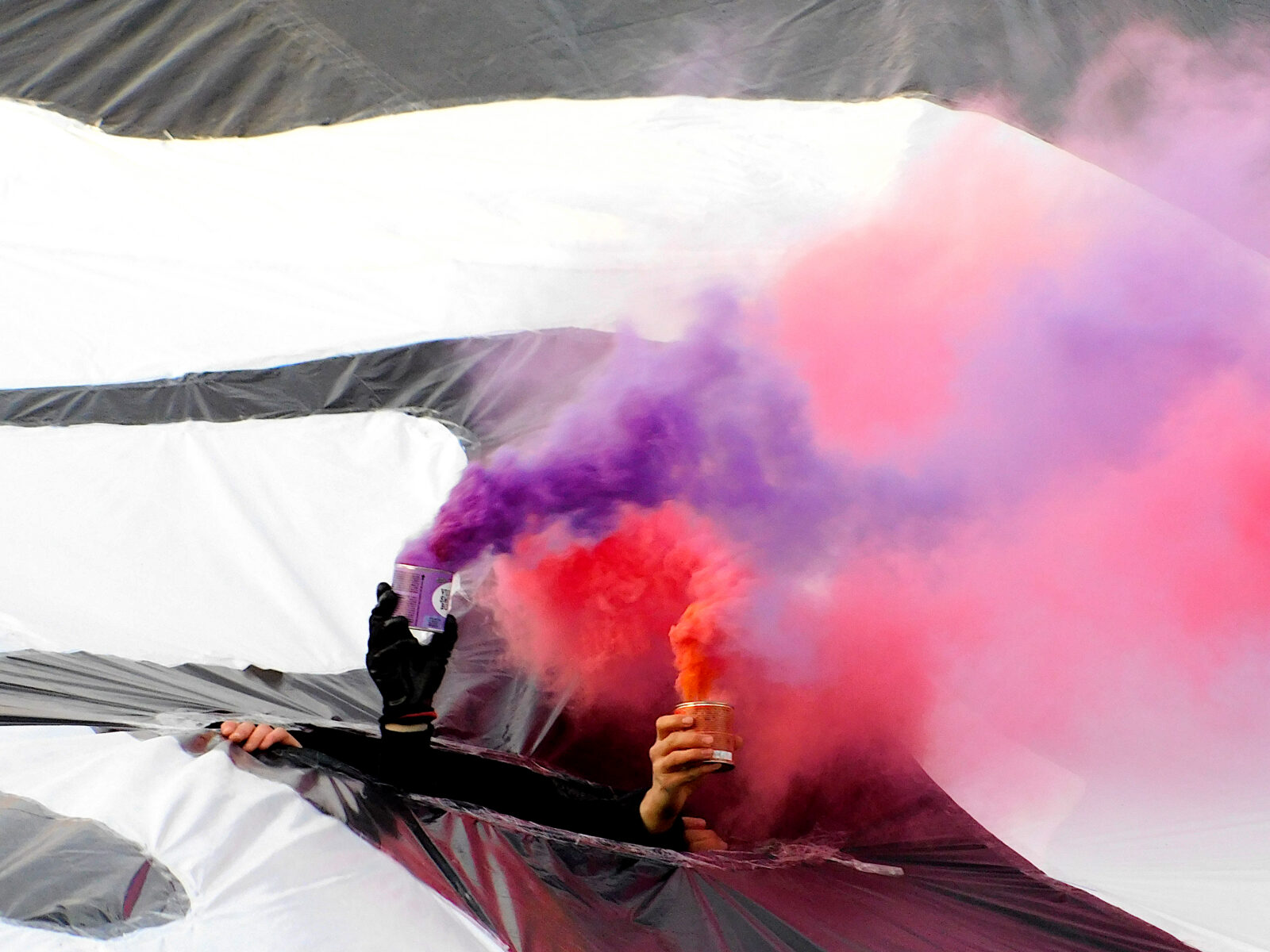 1. FC Lokomotive Leipzig – ZFC Meuselwitz 2-0 (6)