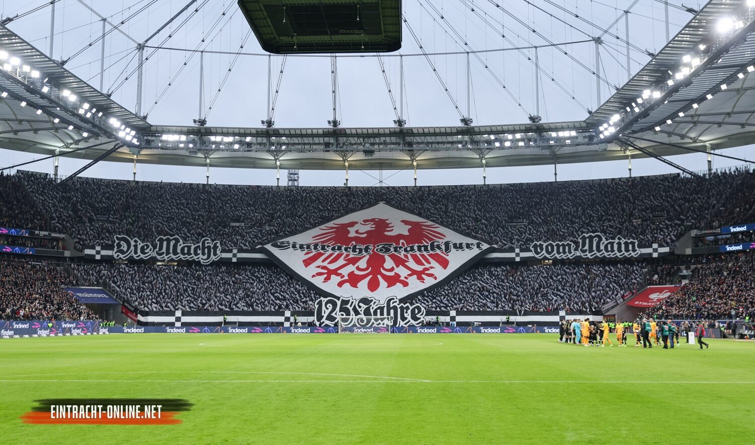 Eintracht Frankfurt – TSG Hoffenheim 3-1 (26)