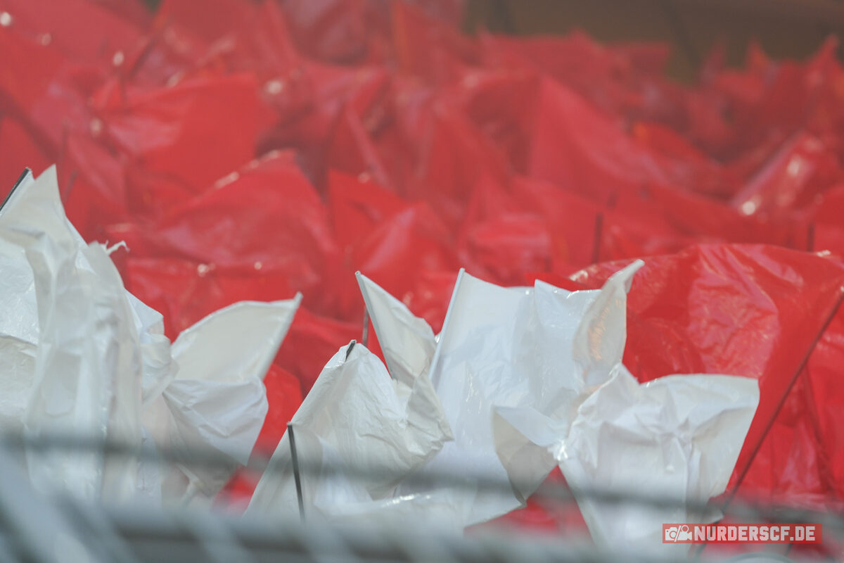 Borussia Dortmund – SC Freiburg 4-0 (25)