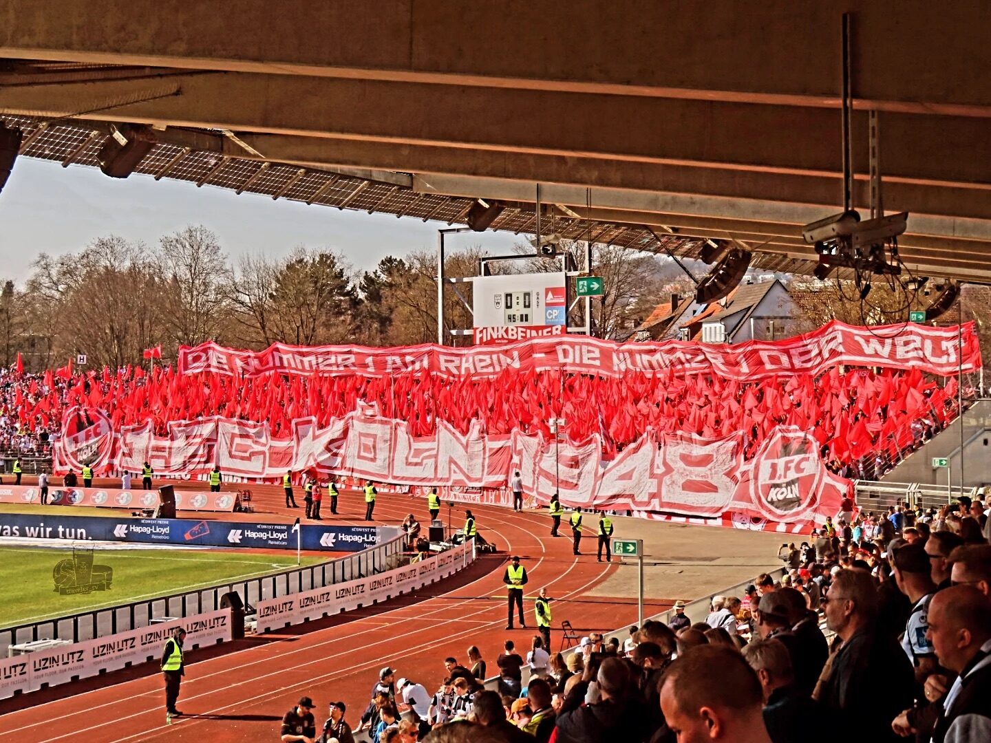 SSV Ulm 1846 – 1. FC Köln 0-1 (1)