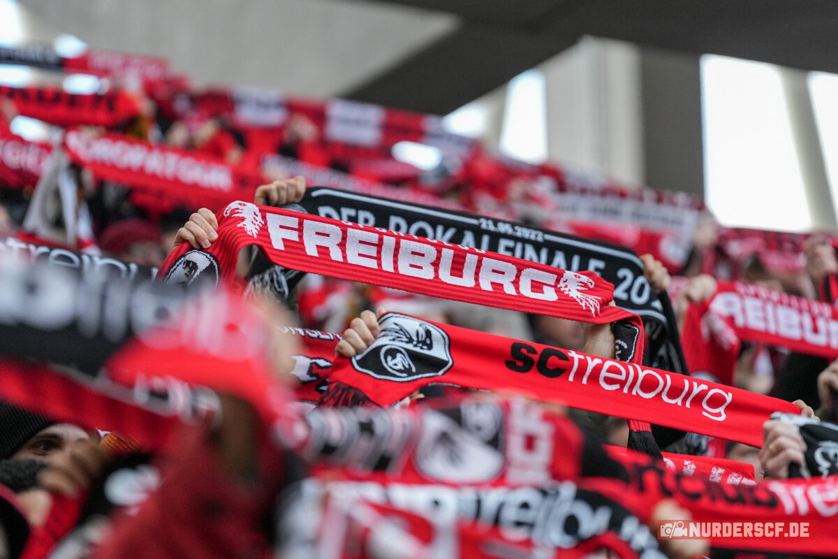 SC Freiburg – 1. FSV Mainz 05 1-1 (18)