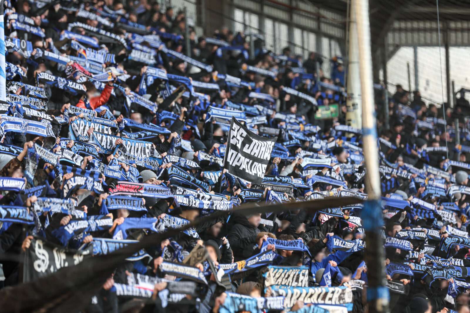 SV Waldhof Mannheim – DSC Arminia Bielefeld 1-1 (11)